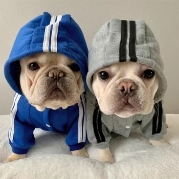 Adidog Clothes Dog Jumpsuit Warm Puppy Pet Clothes For Dog Hoodies Sweatshirt Yorkie French Bulldog Clothing For Dog Coat Jacket - Image 3