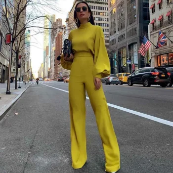 Wide Leg Pant Jumpsuit Women Fashion Stand Neck Lantern Sleeve Rompers Autumn Winter Casual High Waist Jumpsuits Black - Image 2