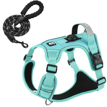 Dog Harness with Airtag Holder and Leash Set-Premium Oxford Breathable Material Durable Reflective Dog Harness and Leash Set - Image 10