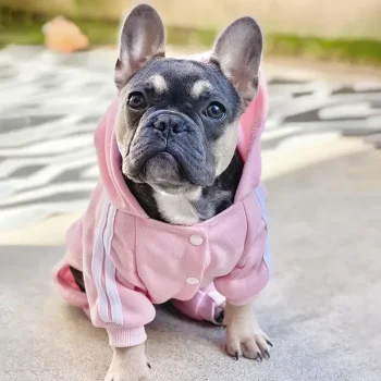Adidog Clothes Dog Jumpsuit Warm Puppy Pet Clothes For Dog Hoodies Sweatshirt Yorkie French Bulldog Clothing For Dog Coat Jacket - Image 5