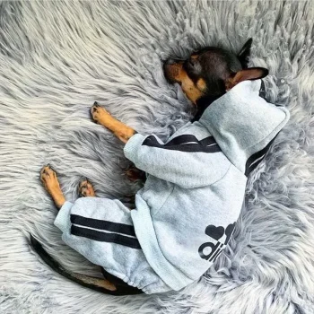 Adidog Clothes Dog Jumpsuit Warm Puppy Pet Clothes For Dog Hoodies Sweatshirt Yorkie French Bulldog Clothing For Dog Coat Jacket - Image 4