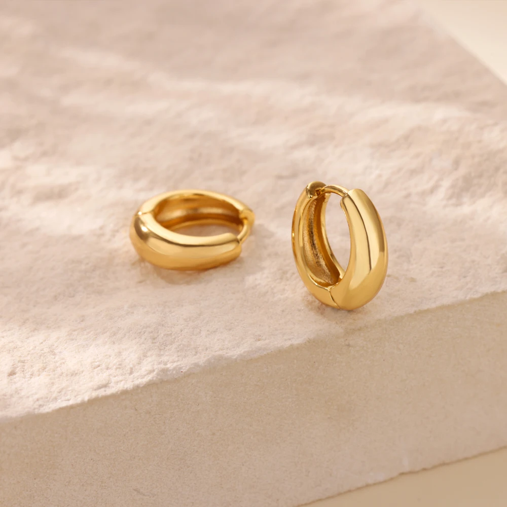 Classic Hoop Earrings for Women Girls Gold Color Chunky Stainless Steel Earrings 2026 Trend New in Minimalist Ear Jewelry aretes – Image 4