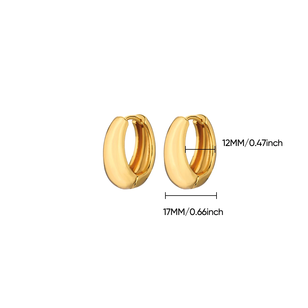 Classic Hoop Earrings for Women Girls Gold Color Chunky Stainless Steel Earrings 2026 Trend New in Minimalist Ear Jewelry aretes – Image 9