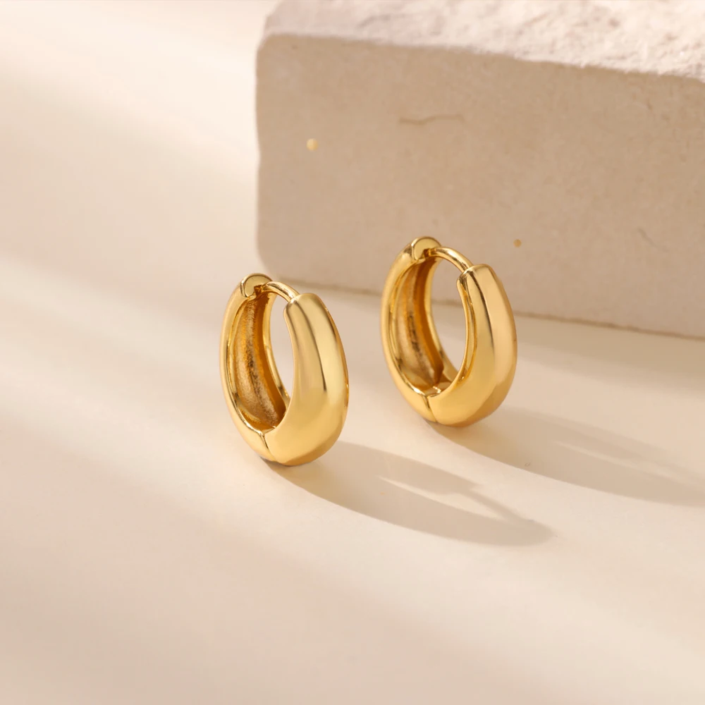 Classic Hoop Earrings for Women Girls Gold Color Chunky Stainless Steel Earrings 2026 Trend New in Minimalist Ear Jewelry aretes – Image 17