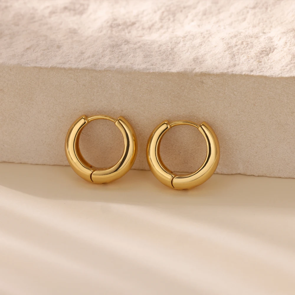 Classic Hoop Earrings for Women Girls Gold Color Chunky Stainless Steel Earrings 2026 Trend New in Minimalist Ear Jewelry aretes – Image 18