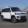 SUV spacieux et économique, boîte de vitesses automatique, antirouille, véhicule électrique rechargeable avec moteur différentiel intégré