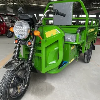 Véhicule électrique à 3 roues Vitality Green pour un transport de marchandises efficace